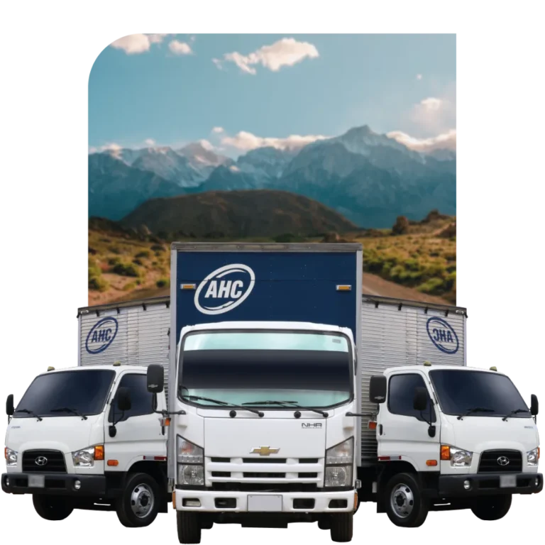Servicios Carga Masiva 2026